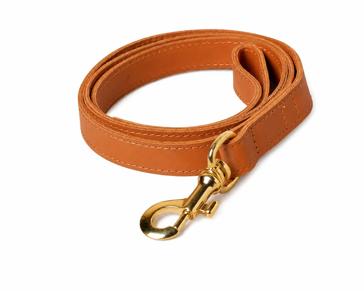 Correa para perro de cuero café premium con mosquetón dorado