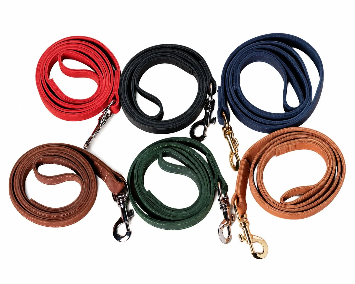 Correa de cuero premium para perros - 6 colores