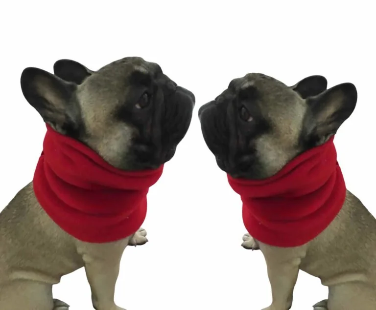 Cuello tubular polar para perro personalizado con logo
